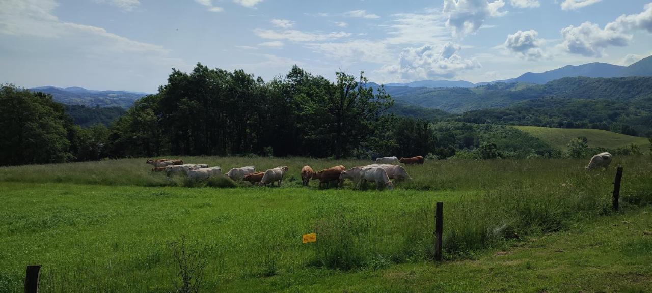 Domaine Le Lanis "Cabane De Pauline" Saint-Girons  Eksteriør bilde