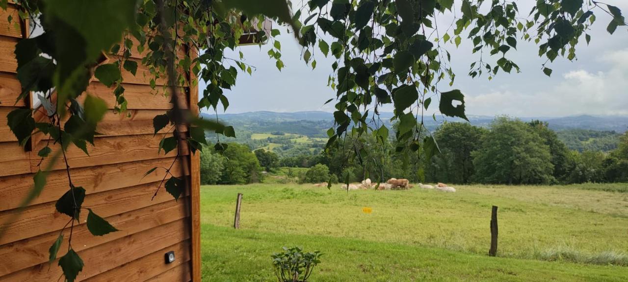 Domaine Le Lanis "Cabane De Pauline" Saint-Girons  Eksteriør bilde