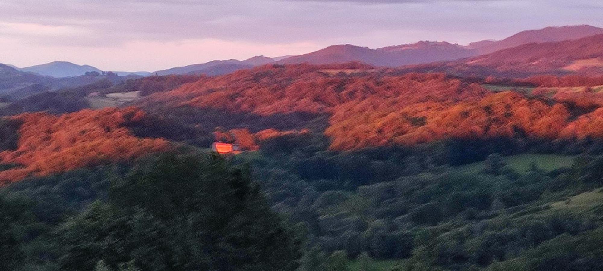 Domaine Le Lanis "Cabane De Pauline" Saint-Girons  Eksteriør bilde