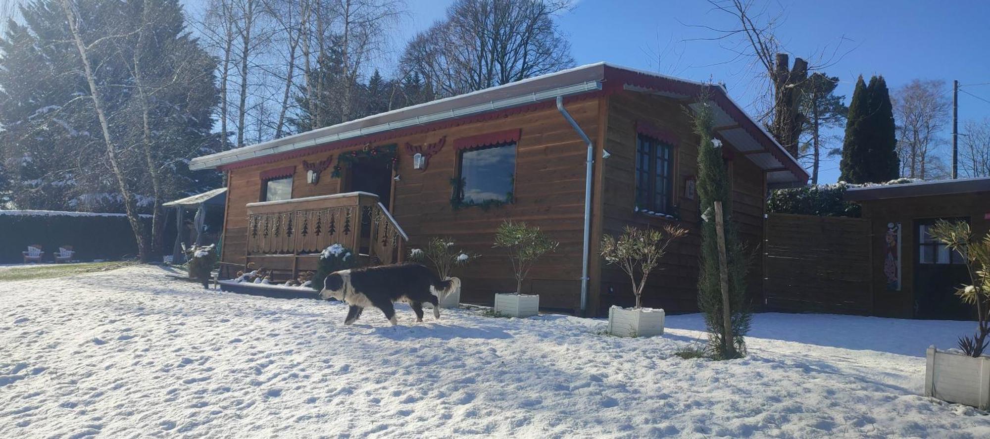 Domaine Le Lanis "Cabane De Pauline" Saint-Girons  Eksteriør bilde
