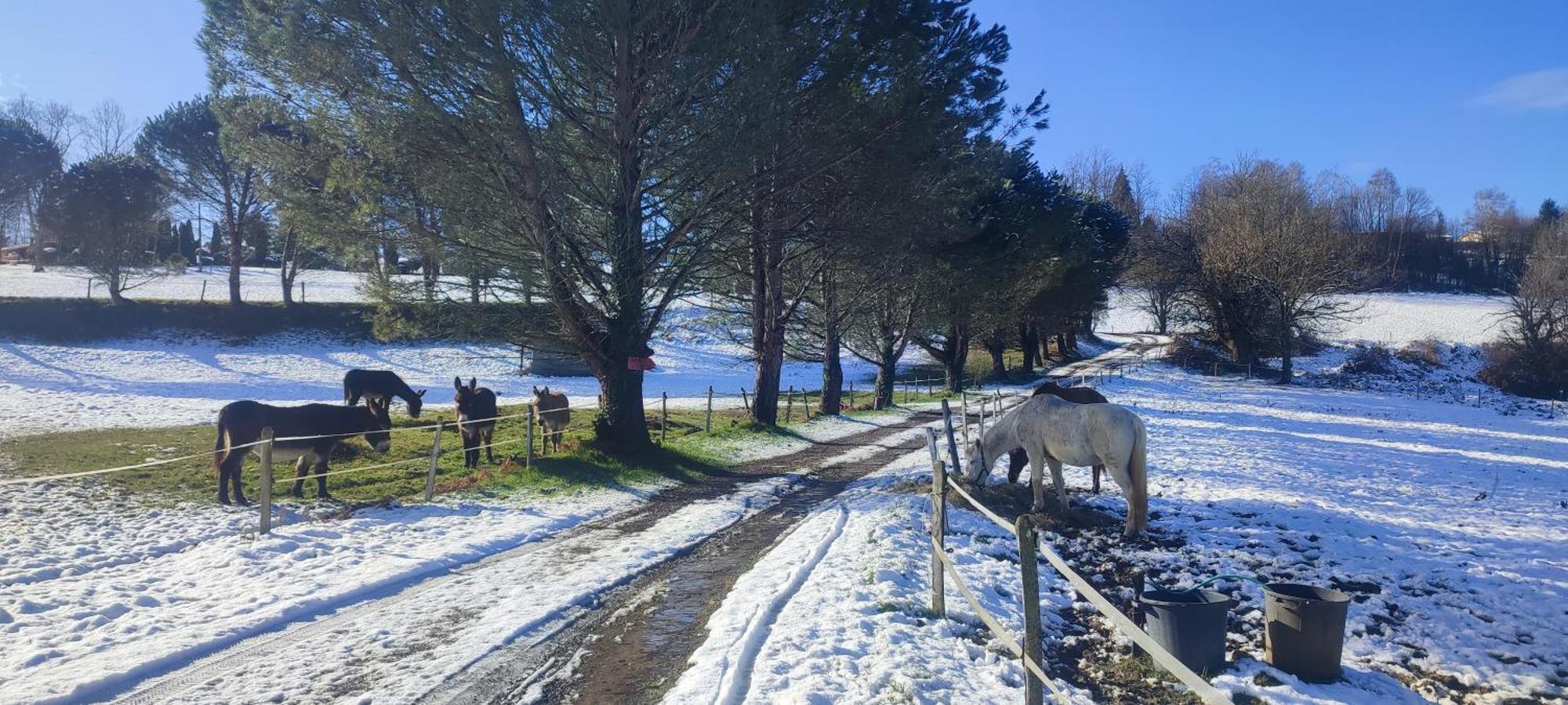 Domaine Le Lanis "Cabane De Pauline" Saint-Girons  Eksteriør bilde